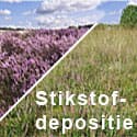 stikstofdepositie_depeel