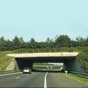 ecoduct