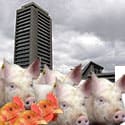 provinciehuis_veestapel