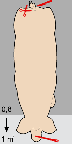 varken_extra_ruimte_2015