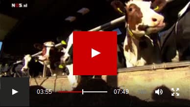 nieuwsuur_25_11_2014