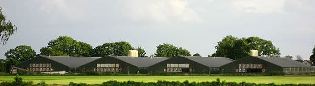 pluimveebedrijf_paradijs_elsendorp_2