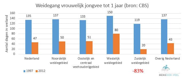 weidegang_jong_melkvee_tot1jaar
