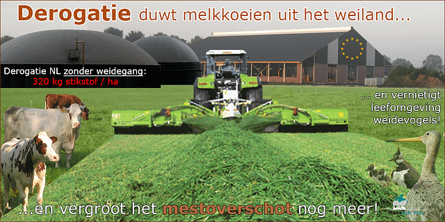 derogation_cows_mowing_manure_factories