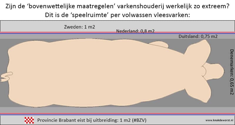 dierenwelzijn_speelruimte_varkens